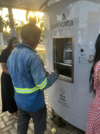 Purificatta